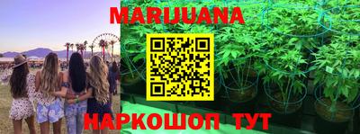 прущие крисы Партизанск