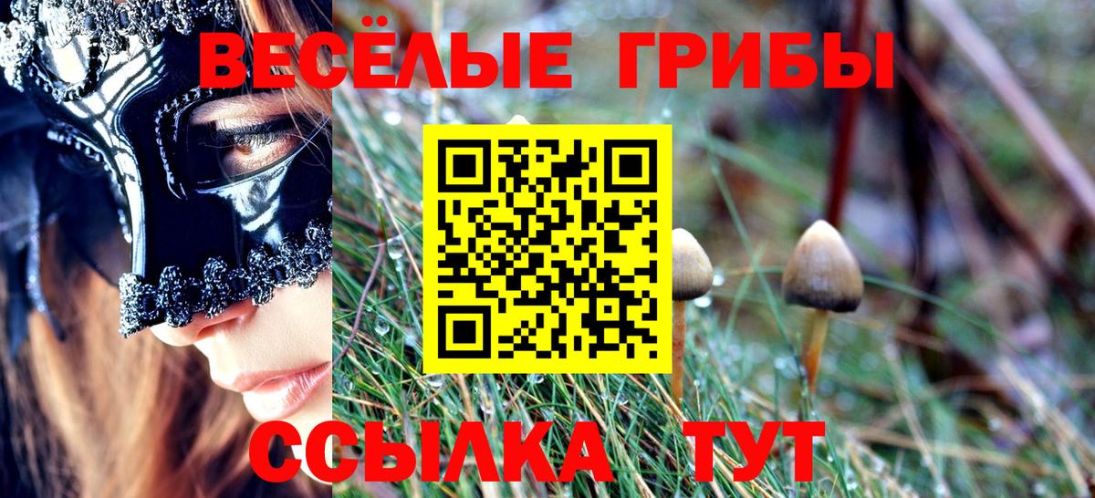 Строитель  Псилоцибиновые грибы Psilocybine cubensis  Вход с VPN 